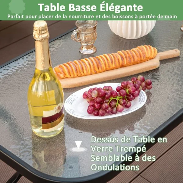 4 Pcs Salon de Jardin en Métal Table Basse en Verre Trempé 2 Chaises Simples Canapé Double 4 Coussins 2 Oreillers Gris/Bleu