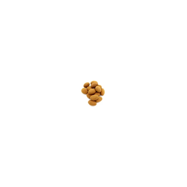 Amandes chocolat cannelle