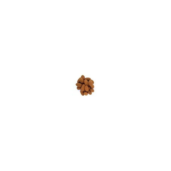 Amandes chocolat cannelle