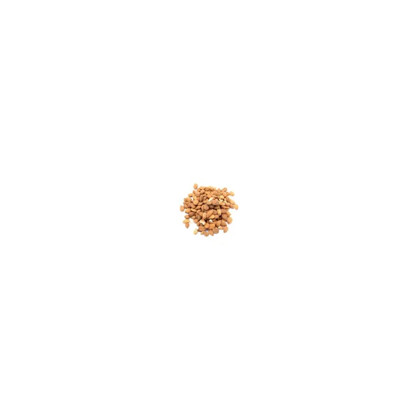 Amandes d'abricots amers