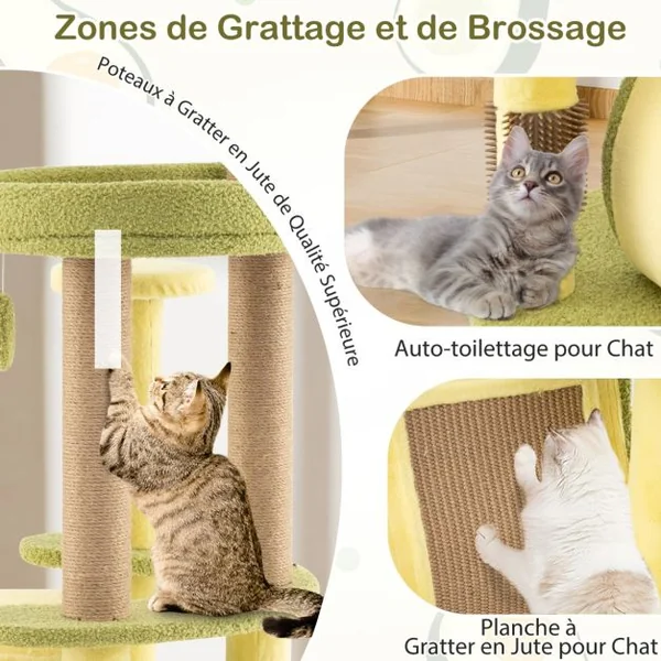 Arbre à Chat en Forme d’Avocat Tour pour Chat à Plusieurs Niveaux Condo Privé Brosse d'Auto-toilettage Pompons Amusants Vert