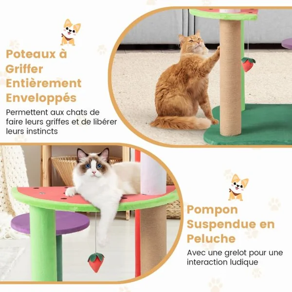 Arbre à Chat Mignon de 69 CM Tour pour Chat Multiniveau Esthétique en Forme de Fruits avec Plateformes en Forme de Fruits