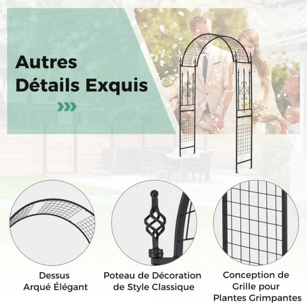Arche de Jardin Moderne en Métal pour Plantes Grimpantes Treillis de Jardin avec Toit Élégant Arche Décorative 143 x 40 x 234 cm Noir