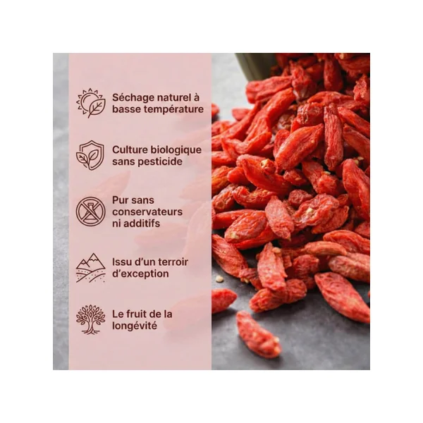 Baies de goji Bio