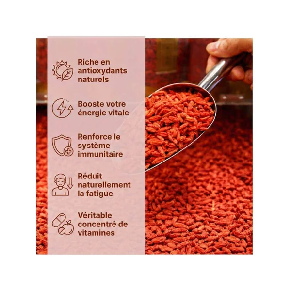 Baies de goji Bio