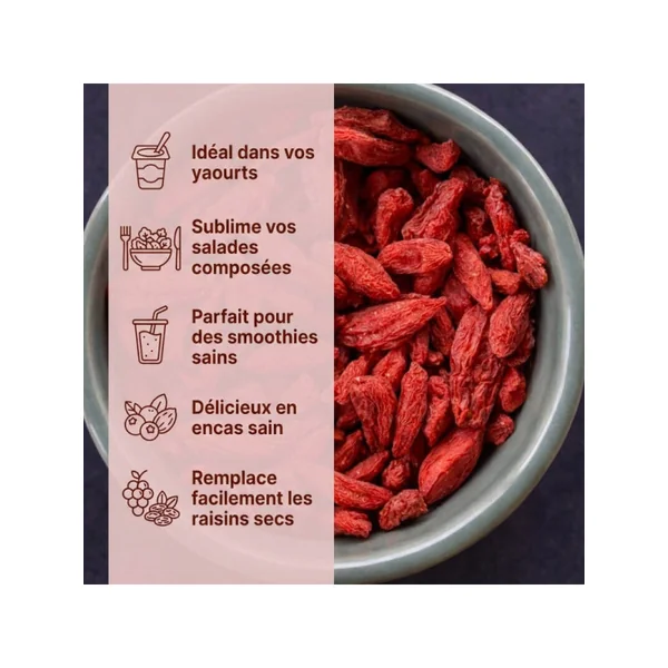 Baies de goji Bio
