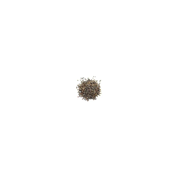 Baies verveine