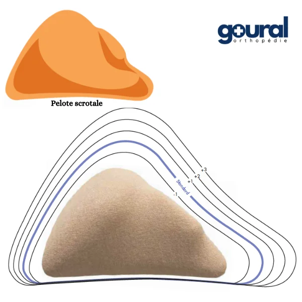 Bandage herniaire Comfort pour réduction de hernies inguinales bilatéral