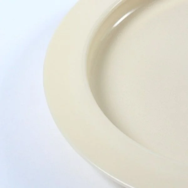 BETTERLIFE l' Assiette à Rebord Intérieur - Avec Dessous en Mousse Anti Dérapante - 1 Unité