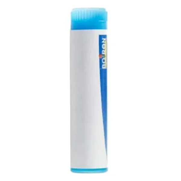 Boiron Hypericum Perforatum 9CH Dose 200 Globules