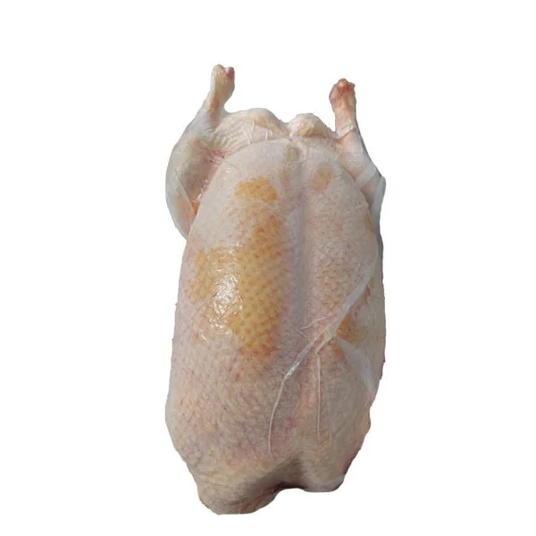 Canard PAC env.3.2kg