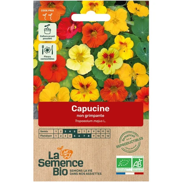 Capucine non grimpante semence 2,2g