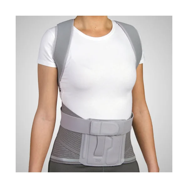 Ceinture dorso-lombaire