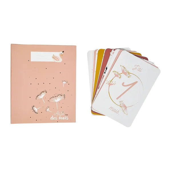 Coffret album photo et cartes étapes rose