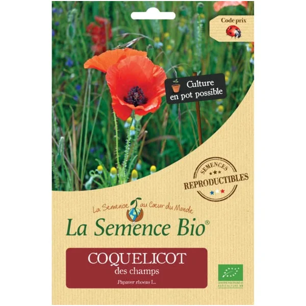 Coquelicot des champs semence 0,07g