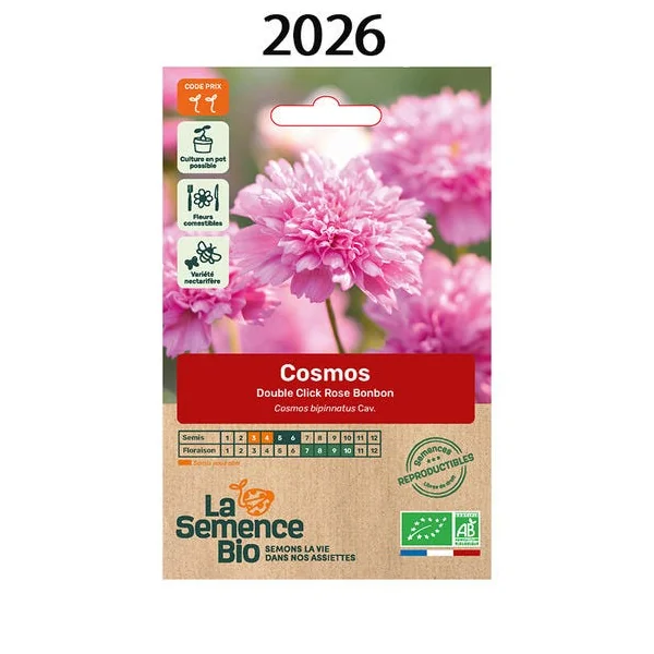 Cosmos double clic rose semence 0.5g