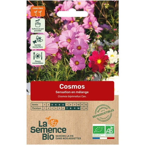 Cosmos sensation en mélange semence 0,5g