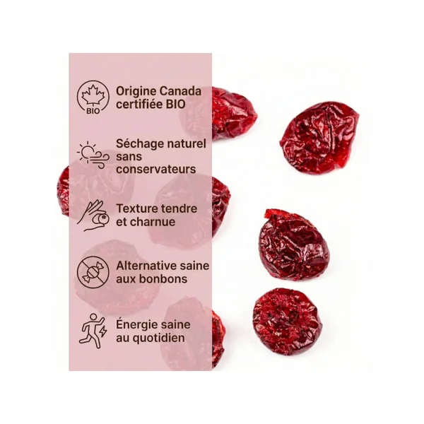 Cranberries séchées BIO