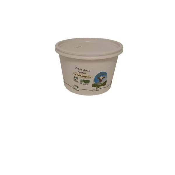 Crème glacée nature pépites de chocolat