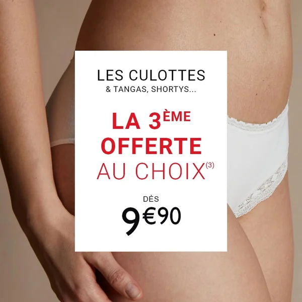 CULOTTE MICROFIBRE ET DENTELLE ROUGE