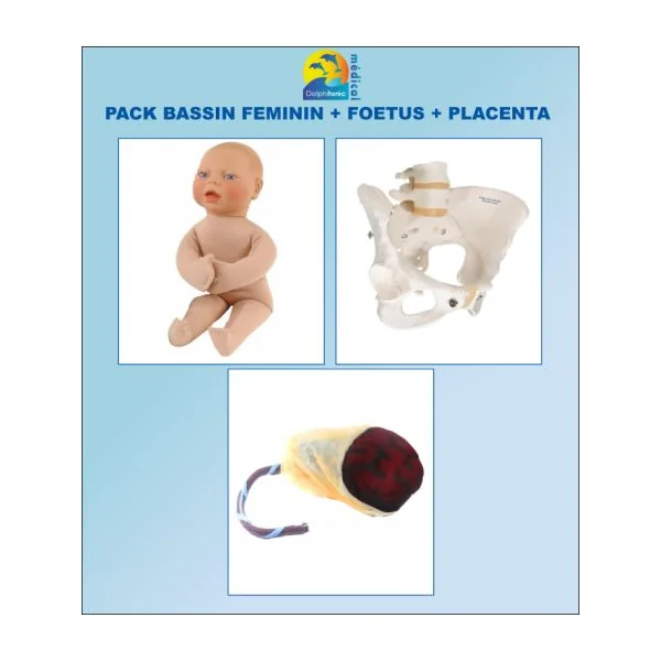 DOLPHI PACK Ensemble Bassin féminin + foetus + Placenta