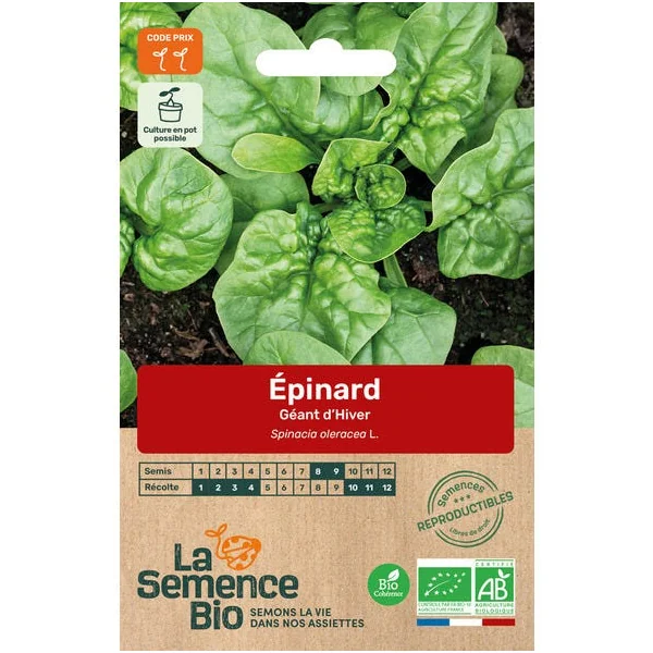 Epinard Géant d'Hiver semence 7,5g