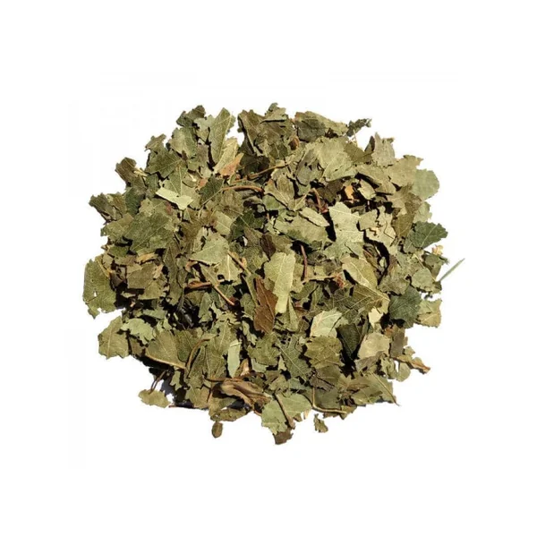Feuilles de bouleau