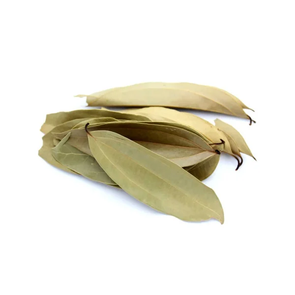 Feuilles de cannelier