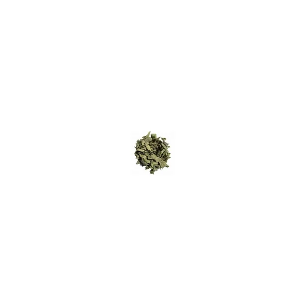Feuilles de myrtille