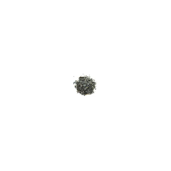 Fucus