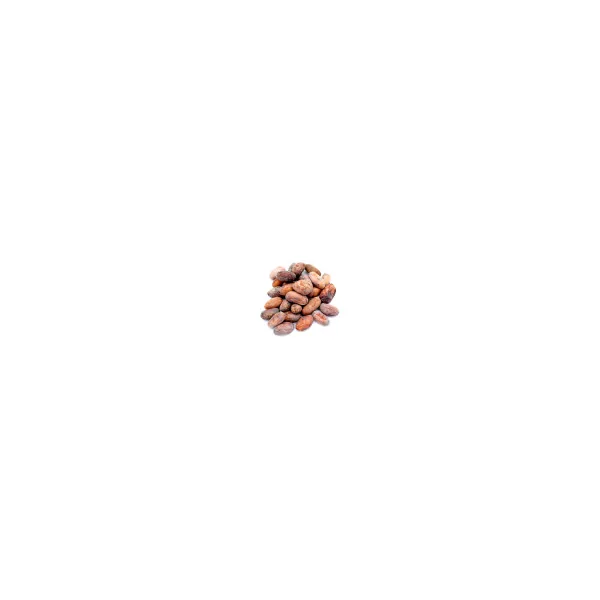 Fèves de cacao Bio