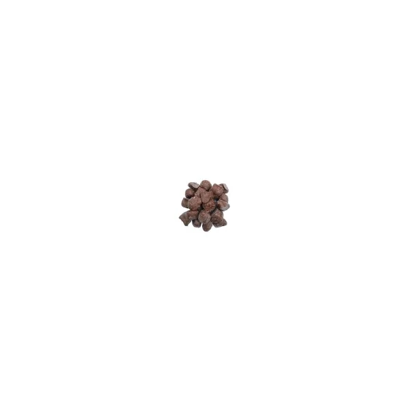 Gingembre confit chocolat noir