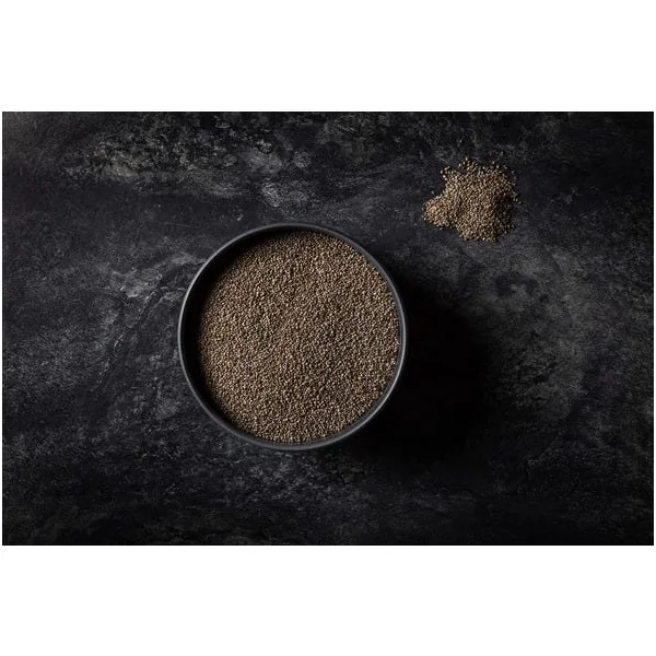 Graine de chia noire France Bio
