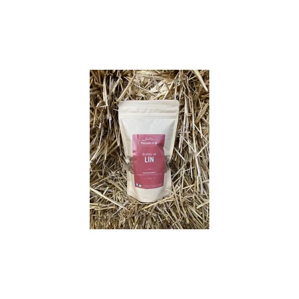 Graine de lin bio 420g