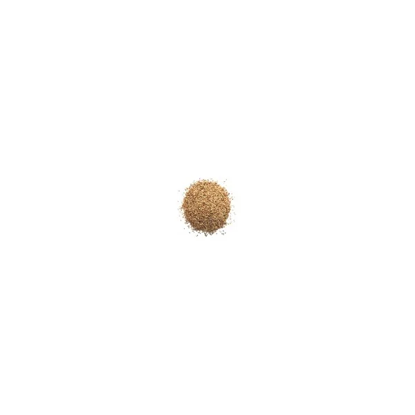 Graines d'alfalfa BIO