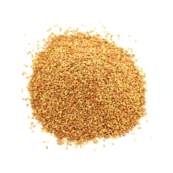 Graines d'alfalfa BIO