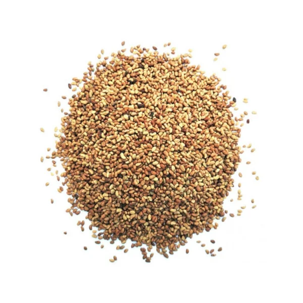 Graines d'alfalfa BIO