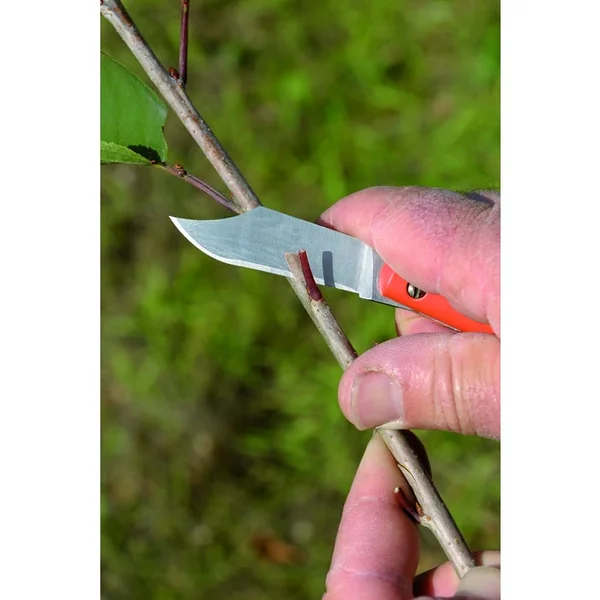 Greffoir 180 mm