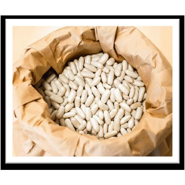 Haricots blancs lingot Bio de Vendée