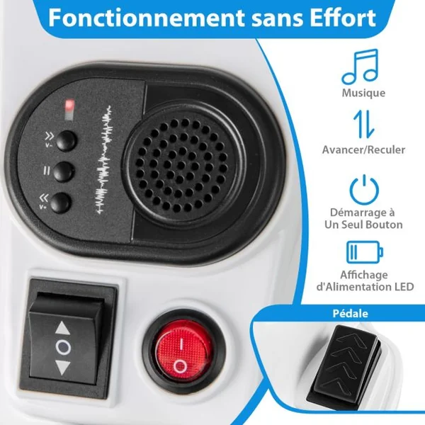 Jouet à Chevaucher Licorne 12 V avec Roues d'Entraînement Musique Démarrage à un Bouton et Affichage LED Rose Rouge/Bleu