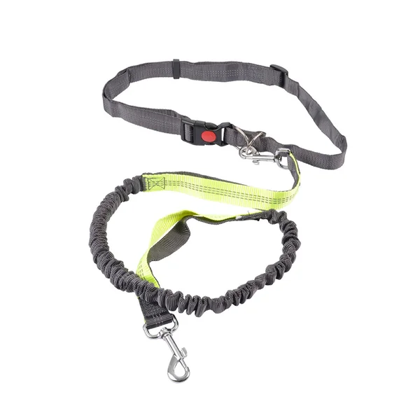 Kit running gris pour chien