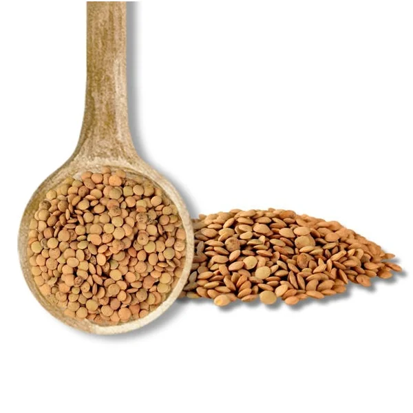 Lentilles blondes 500g