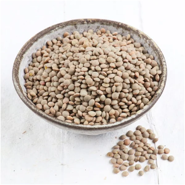 Lentilles blondes France Bio