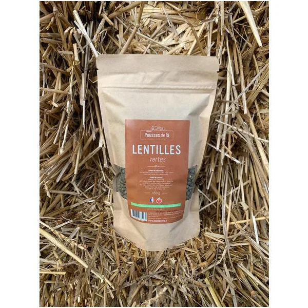Lentilles vertes 400g