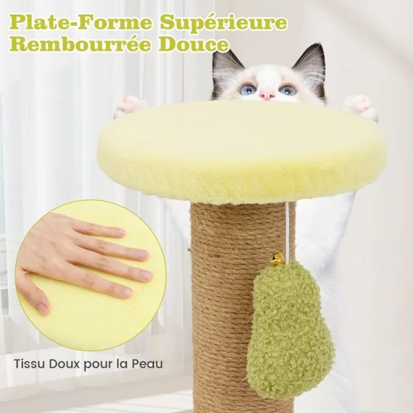Lit pour Chat sur le Thème de l'avocat avec Perchoir Rond Rembourré Jouet à Ressort Poteaux à Gratter en Jute Large Base Antidérapante Vert