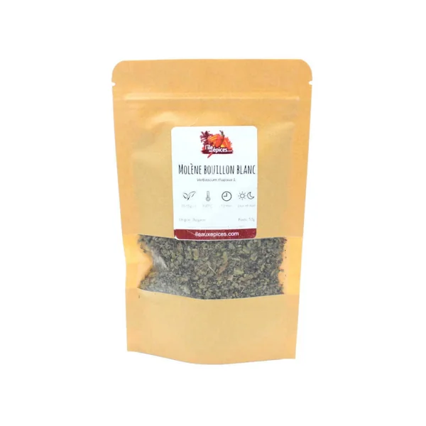 Molène Bouillon blanc