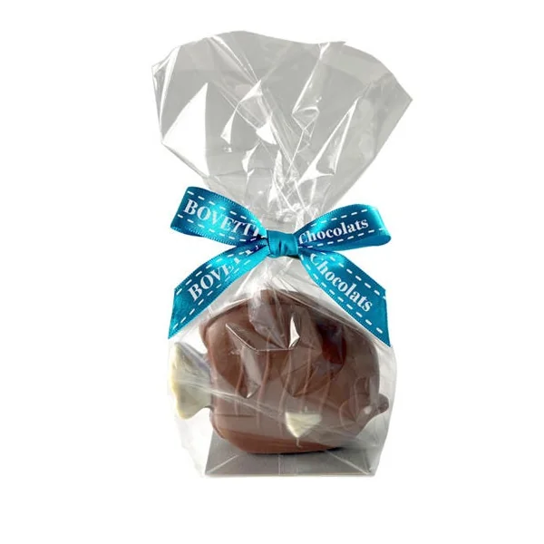Moulage poissons tropicaux chocolat au lait 50g