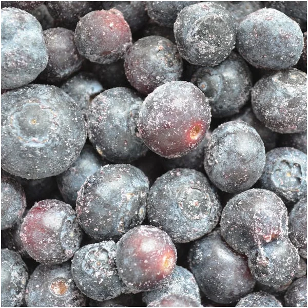 Myrtille cultivée 450g