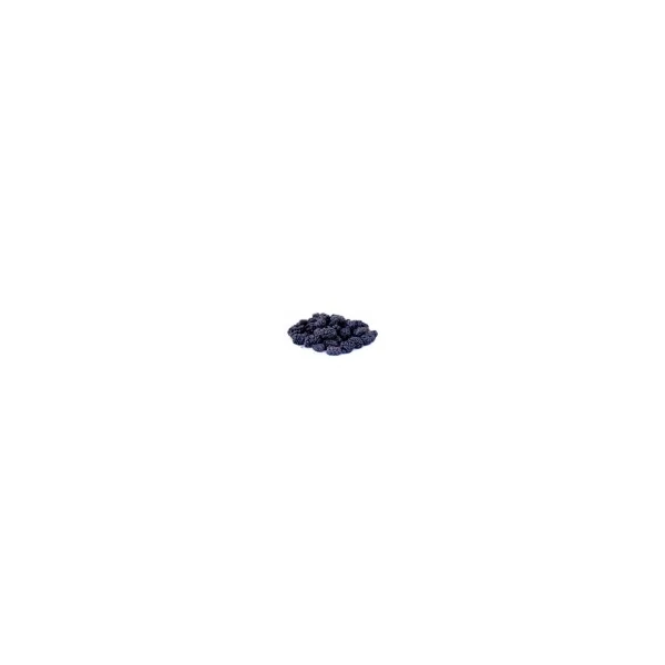 Mûres noires séchées (mulberry) BIO