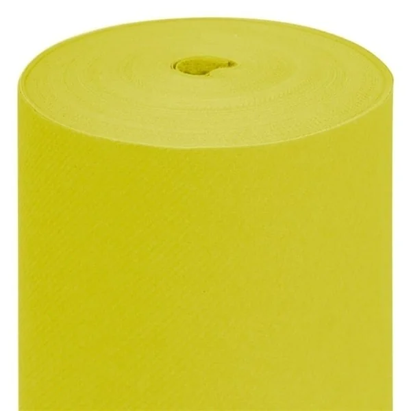 NAPPES EN INTISSE KIWI 1m20x25m